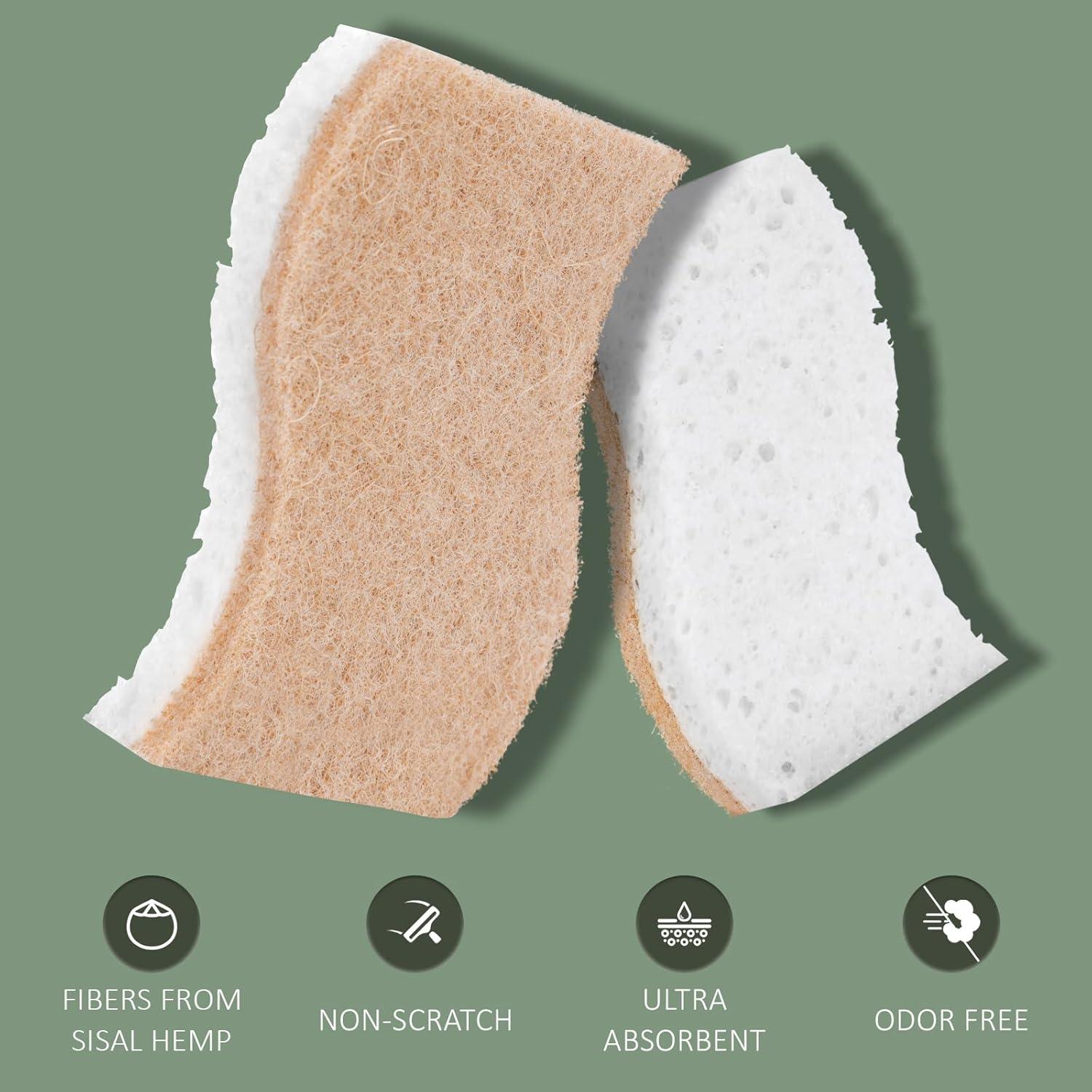 Plant-Based Kitchen Sponges – FSC Certified and PETA Approved, 12 Count
