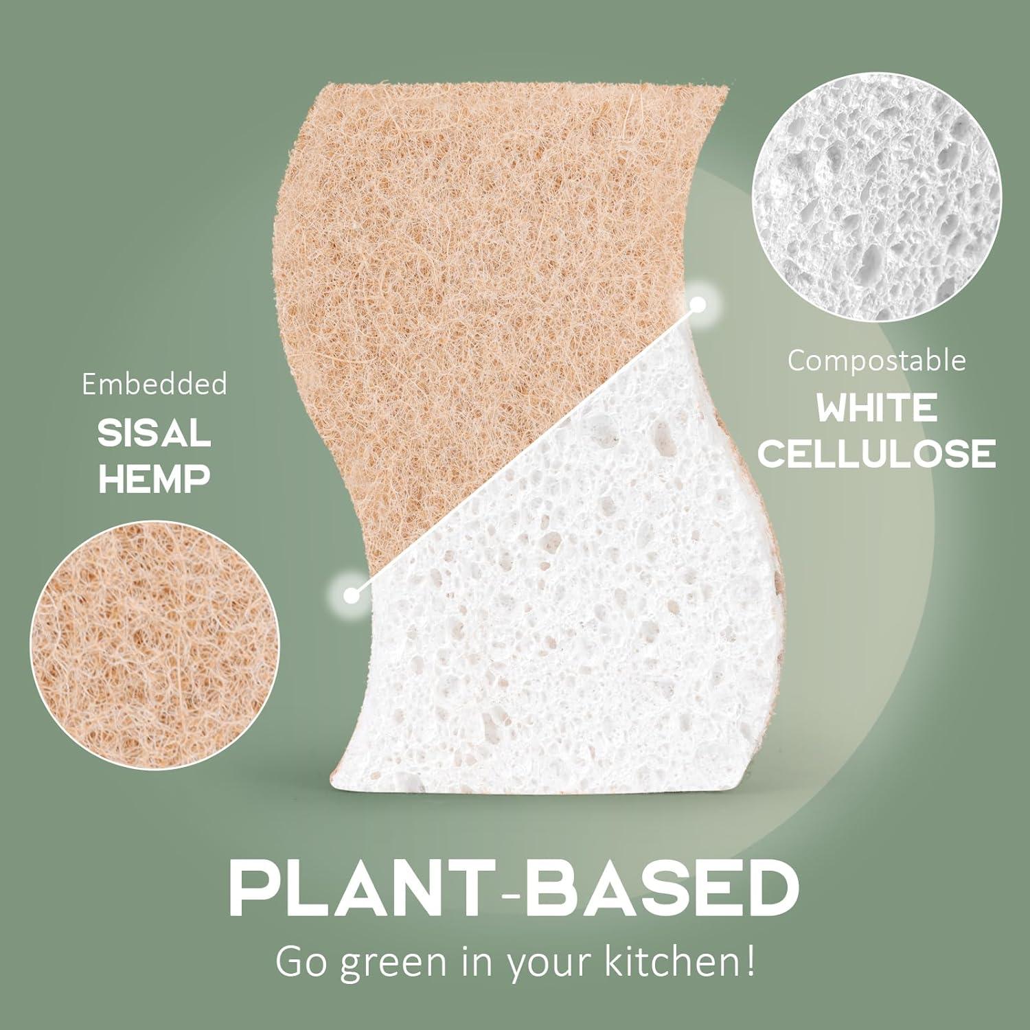 Plant-Based Kitchen Sponges – FSC Certified and PETA Approved, 12 Count